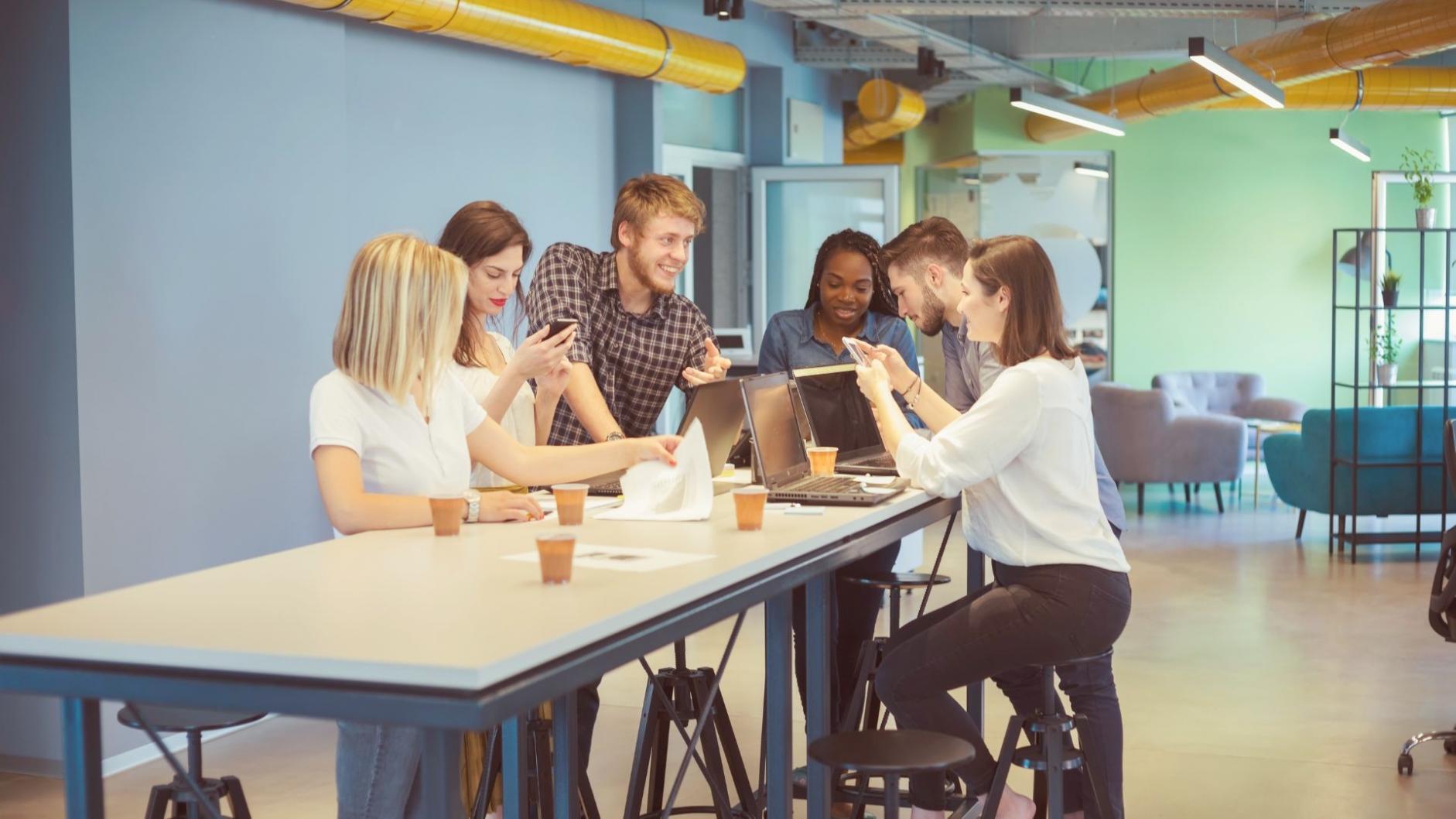 Entwicklung der Lernplattform